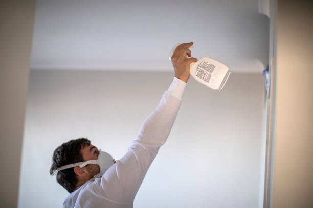 Best Mold Testing  in Wmette, IL