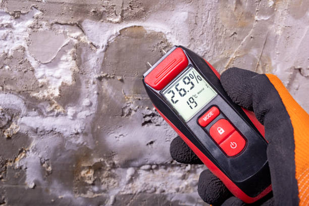 Best Mold Remediation  in Wmette, IL