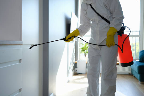Best Certified Mold Removal  in Wmette, IL