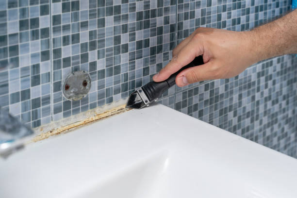 Best Mold Removal Company Near Me  in Wmette, IL